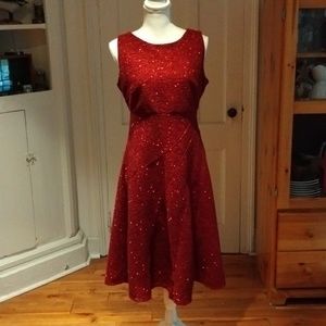 J. Taylor Sleeveless Glitter Fit N Flare Dress